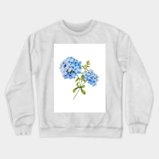 Watercolor botanical vintage Floral minimalist print- hydrangea Crewneck Sweatshirt